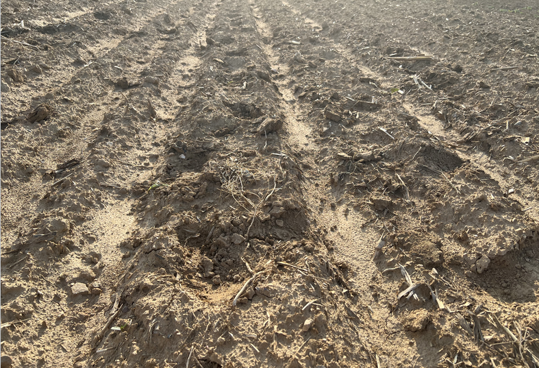 天津蓟州区召开2025年耕地深松项目推进会 加快农机耕地深松技术推广应用